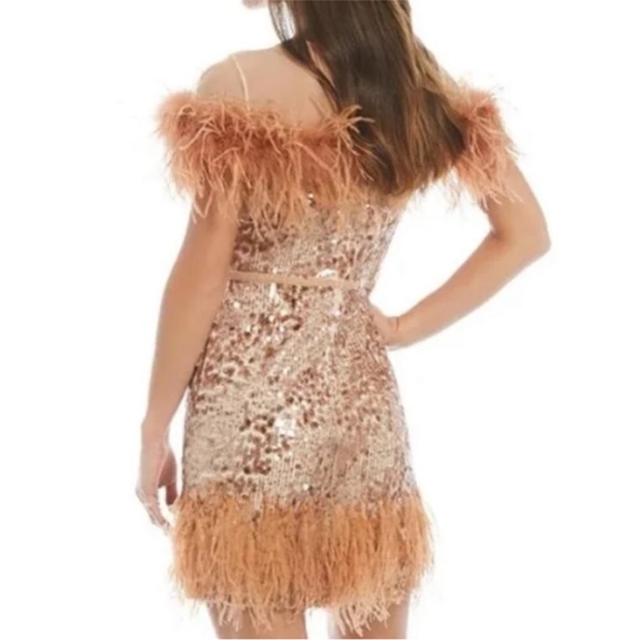 Antonio Melani x Nicola Bathie Rose Gold Sequin Feather Emelia Dress Sz2 NEW - Picture 8 of 13